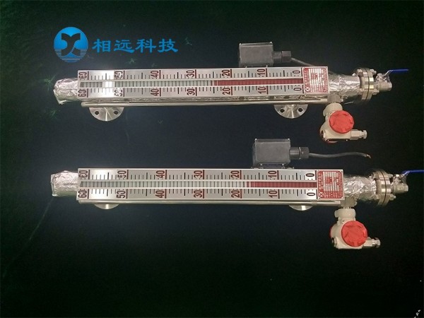電伴熱液位計(jì)